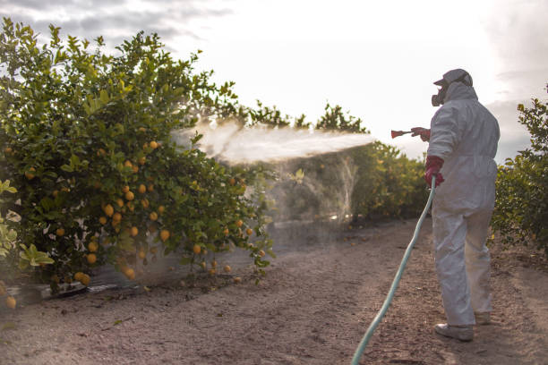 Professional Pest Control in Cowpens, SC