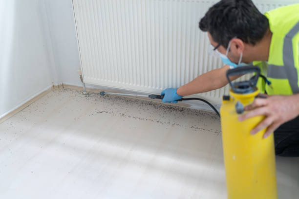 Best Affordable Pest Control Services  in Cowpens, SC