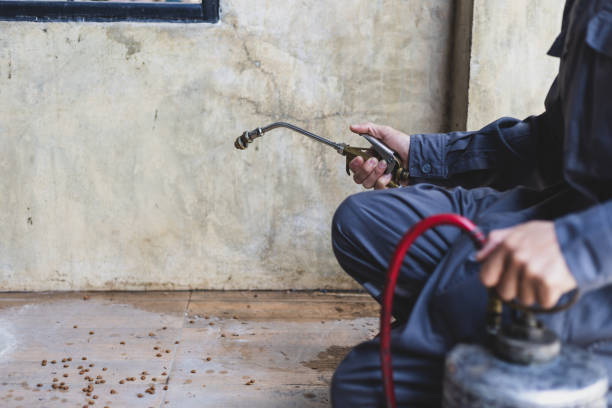 Best Pest Control Near Me  in Cowpens, SC