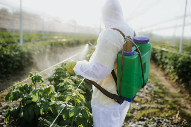 Best Emergency Pest Control  in Cowpens, SC
